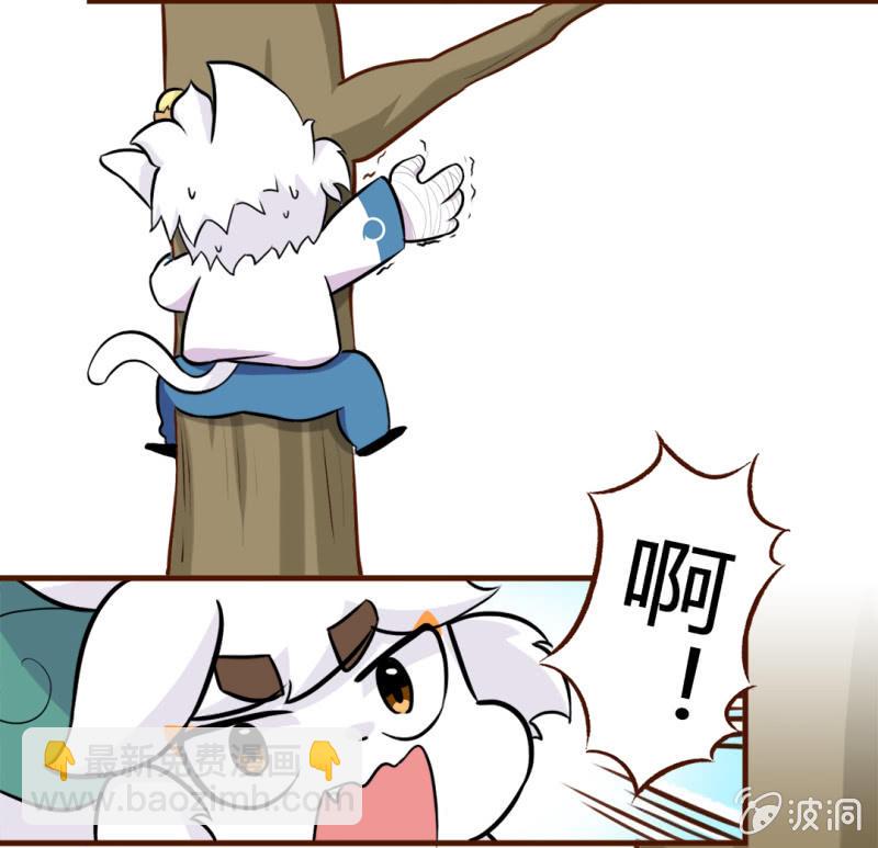 京劇貓喵日常 - 初遇！明月與白糖 下 - 1