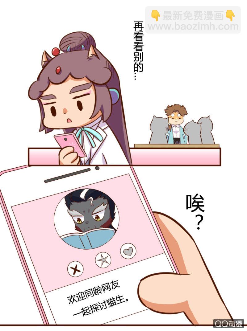 京劇貓喵日常 - 實現？雙十一的願望 - 2