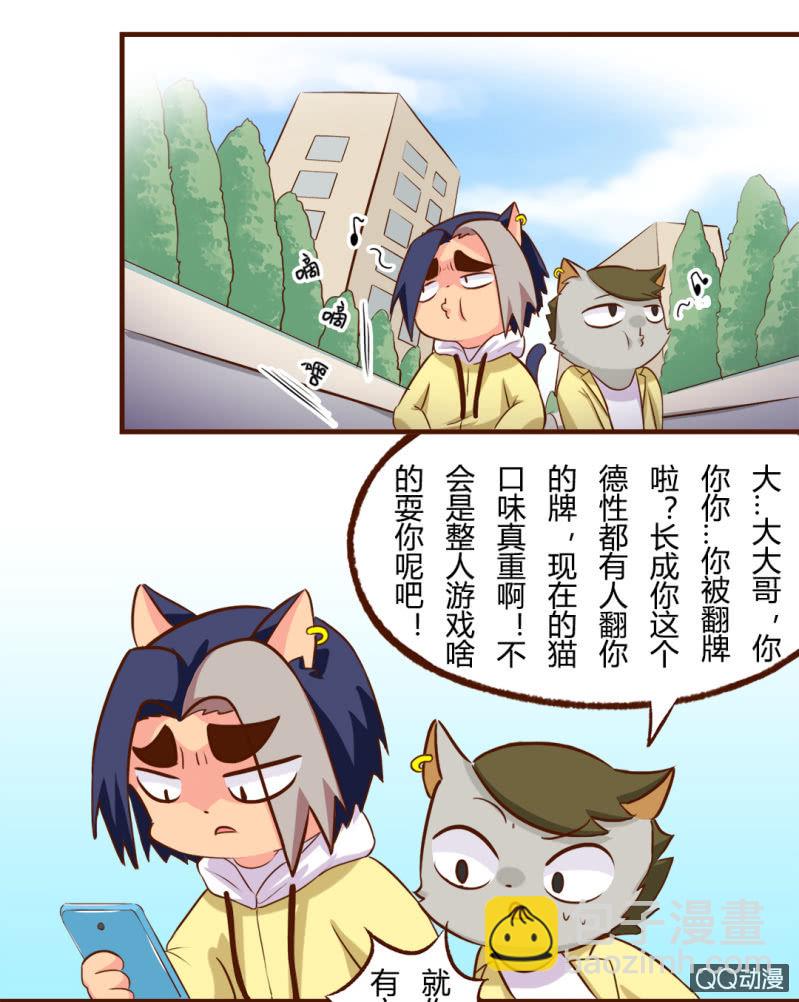 京劇貓喵日常 - 實現？雙十一的願望 - 3