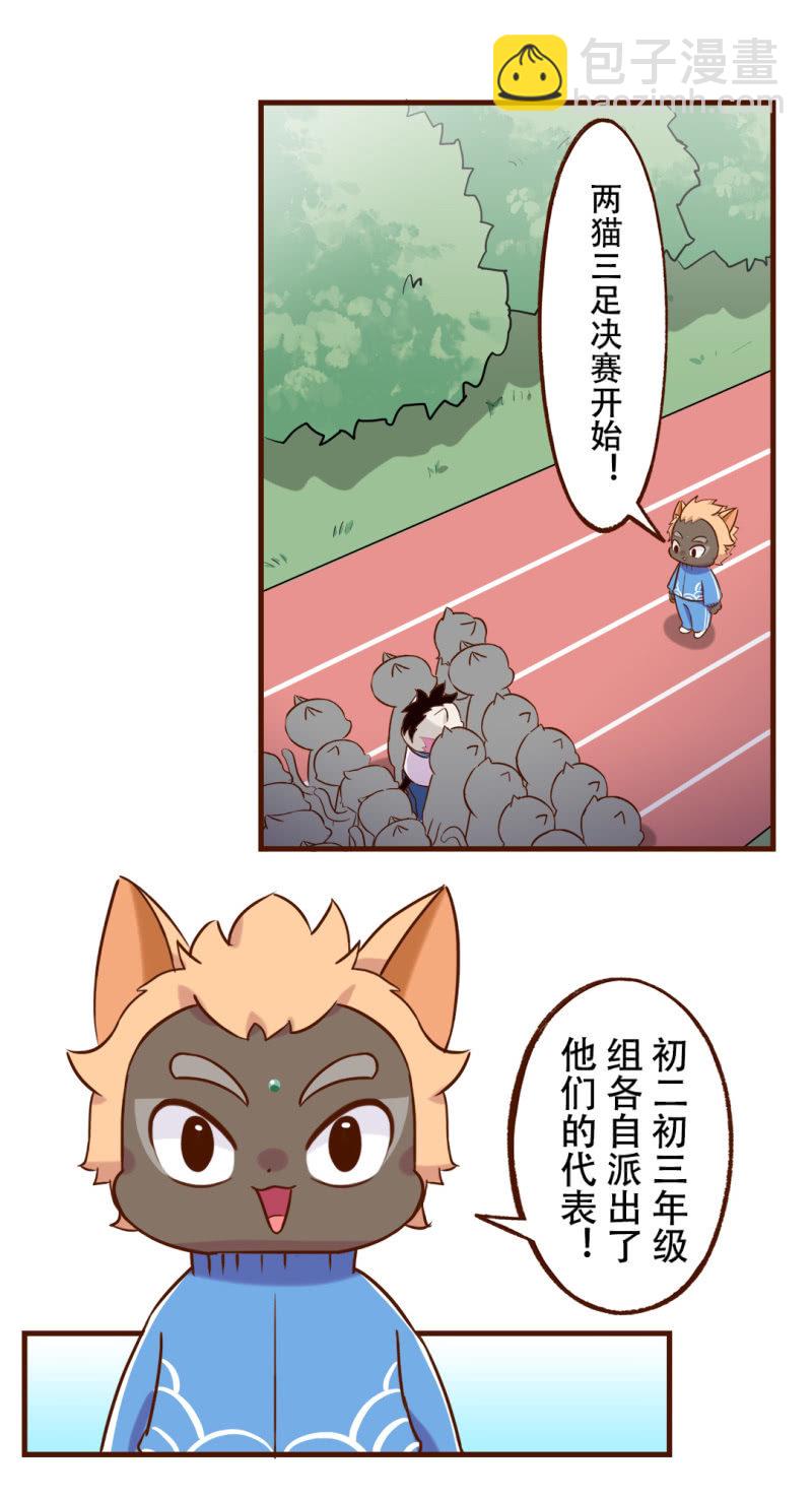 京劇貓喵日常 - 合作！兩貓三足 - 2