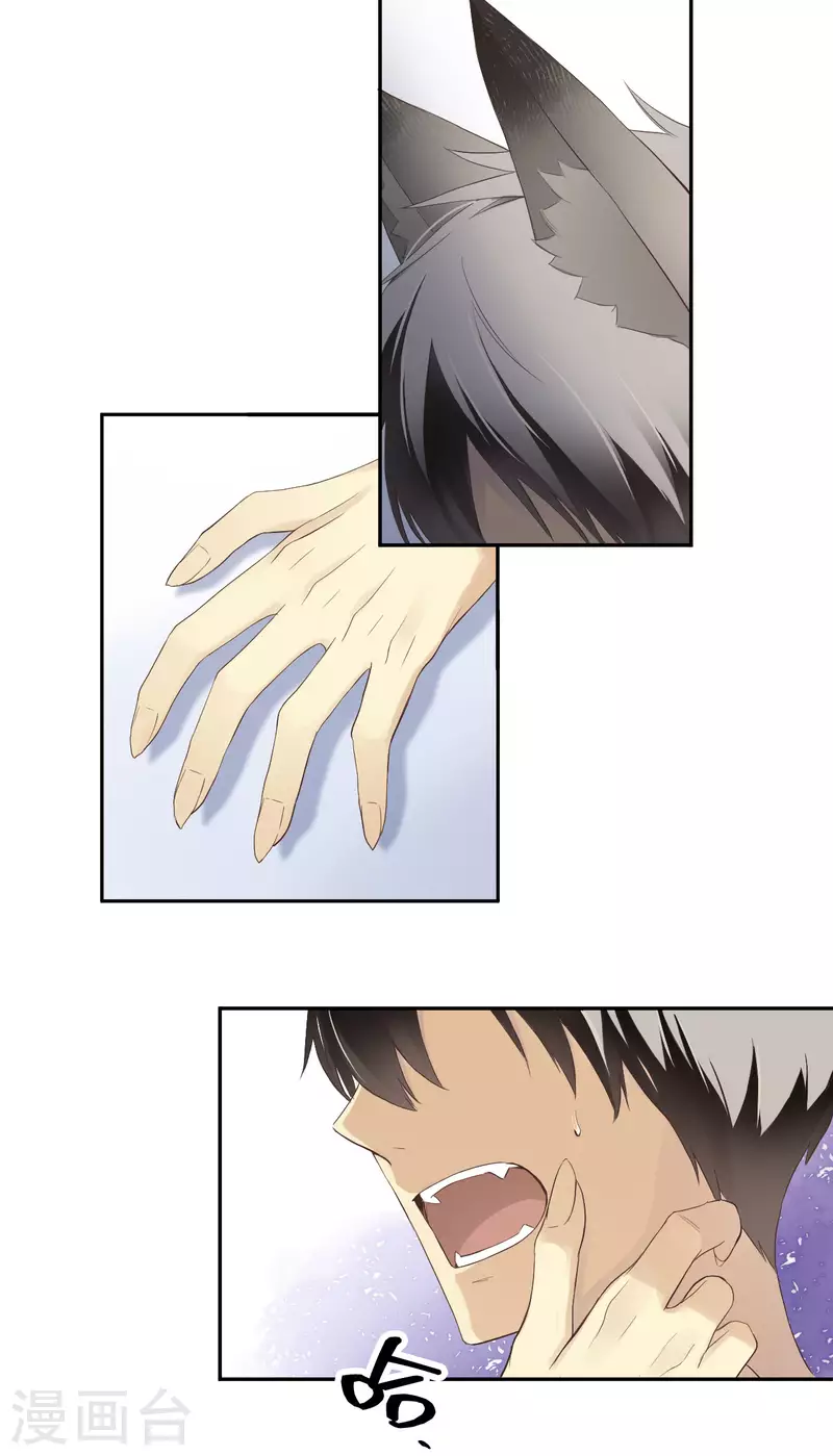 第29话 决赛之日-第30话