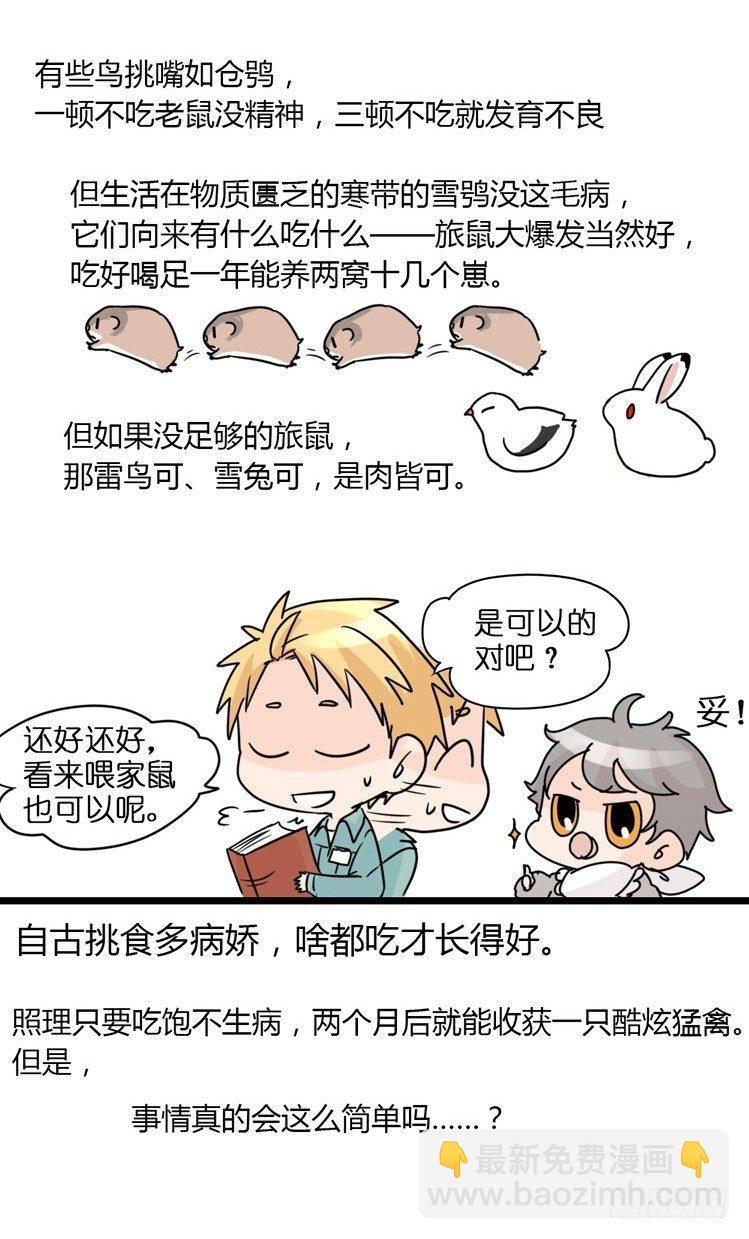 進化之基 - 飛吧小少爺：現實問題 - 1