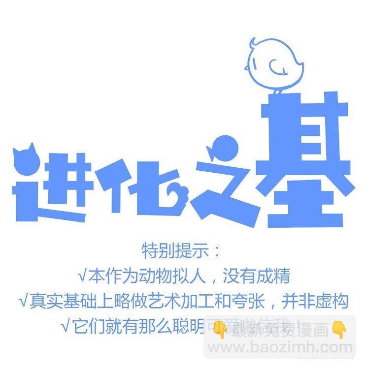 進化之基 - 飛吧小少爺：現實問題 - 2