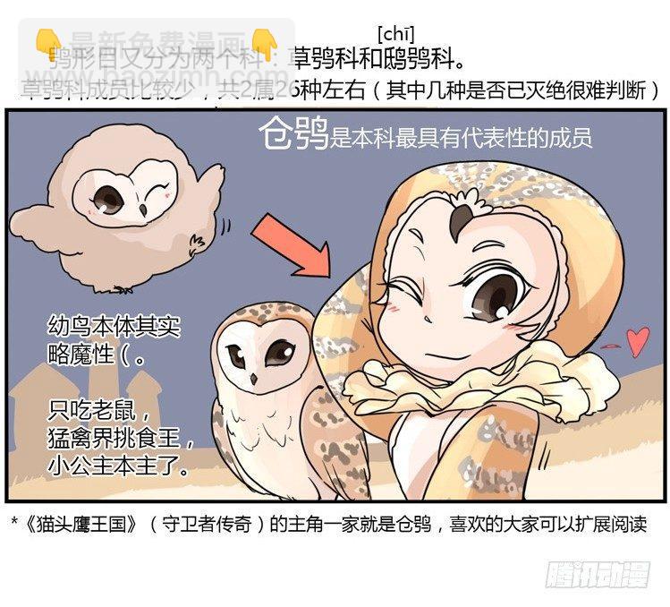 進化之基 - 飛吧小少爺：現實問題 - 4