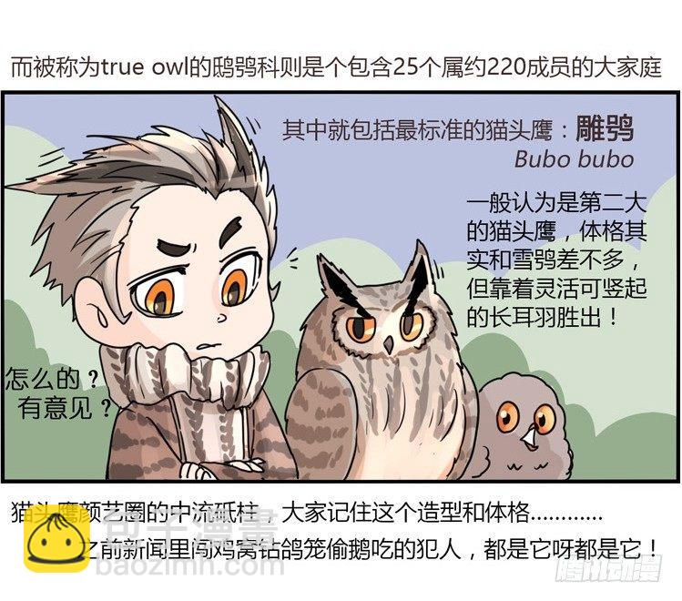 進化之基 - 飛吧小少爺：現實問題 - 5