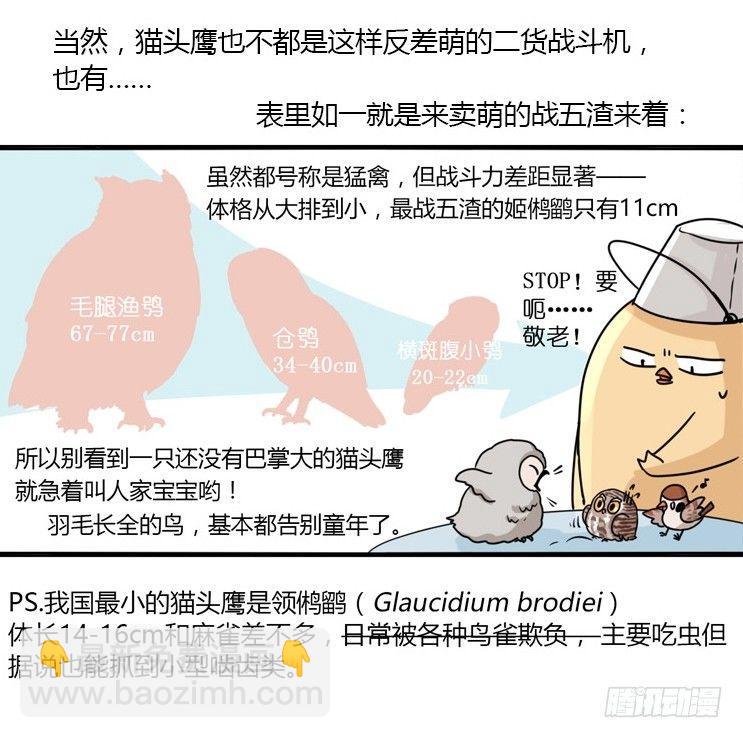 進化之基 - 飛吧小少爺：現實問題 - 1