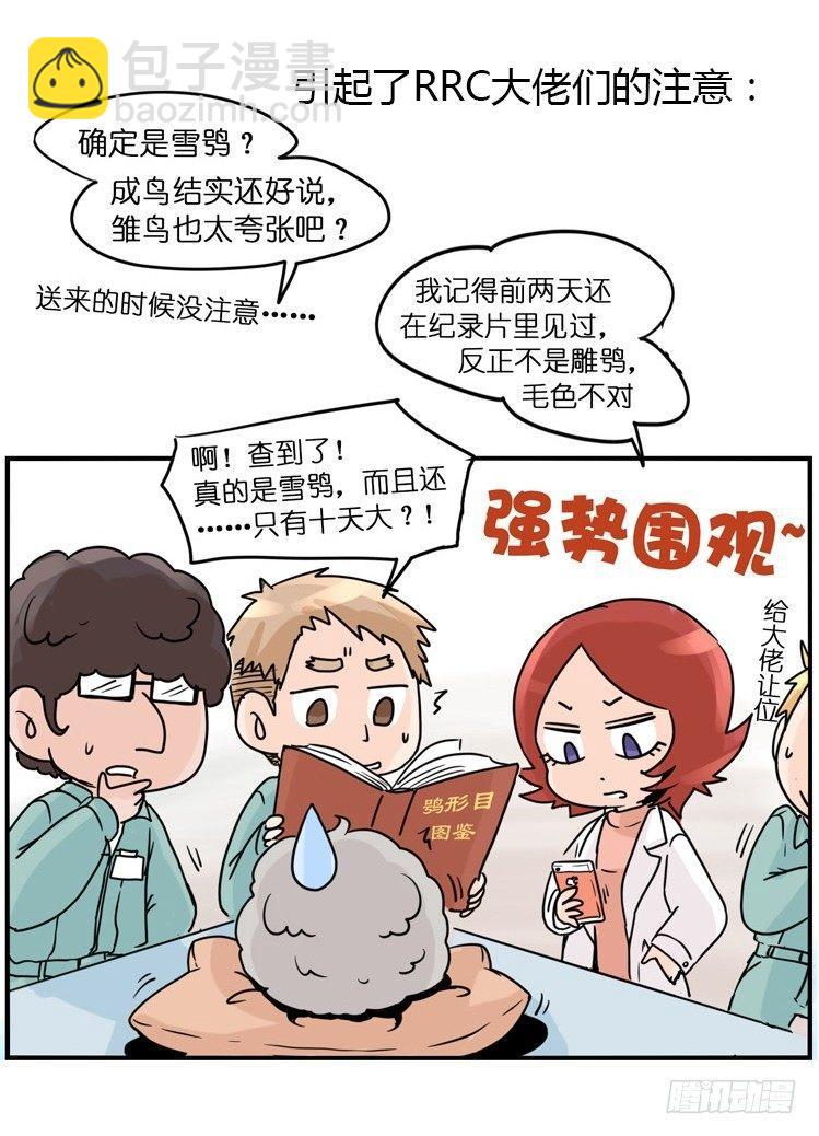 進化之基 - 飛吧小少爺：現實問題 - 3