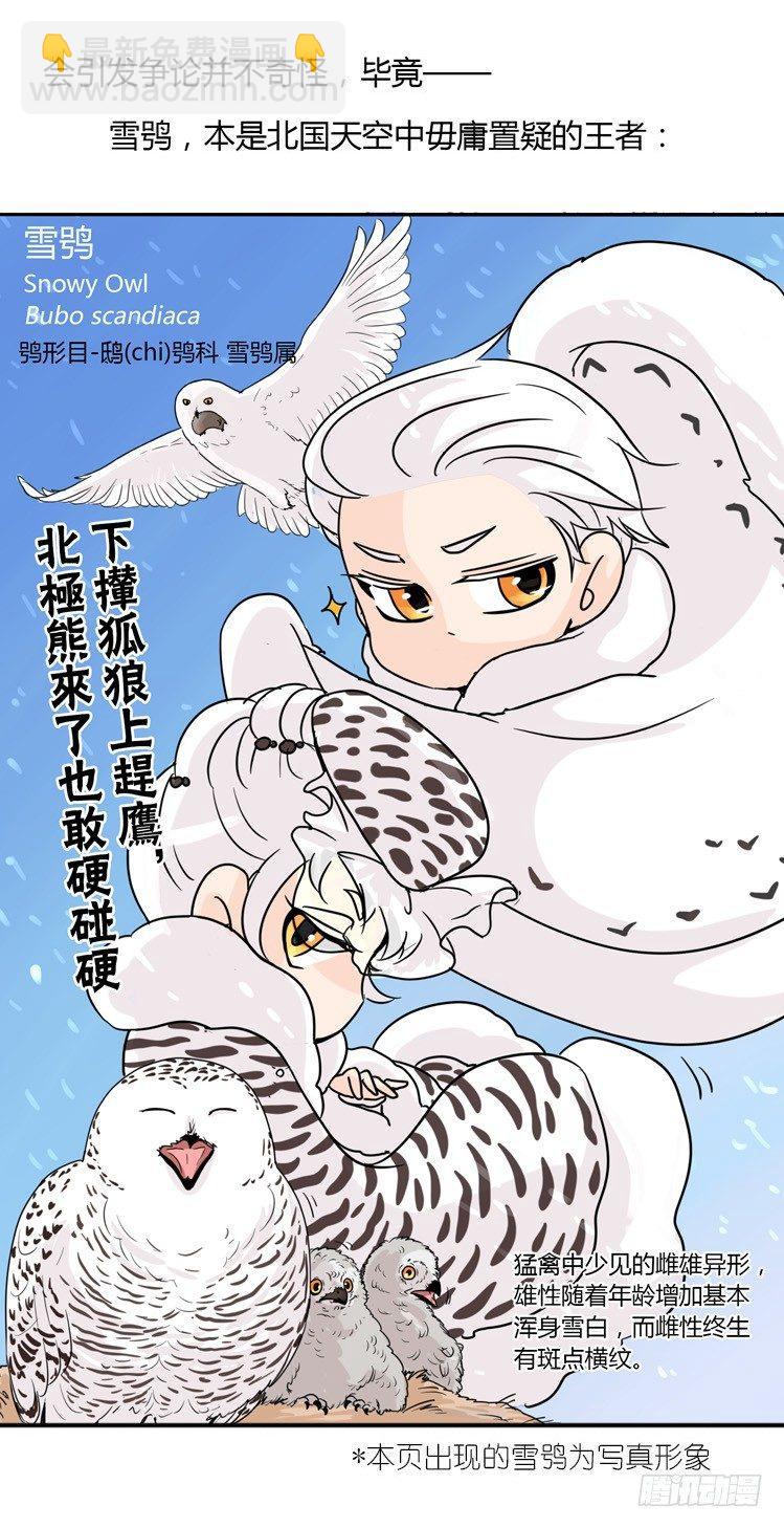 進化之基 - 飛吧小少爺：現實問題 - 4