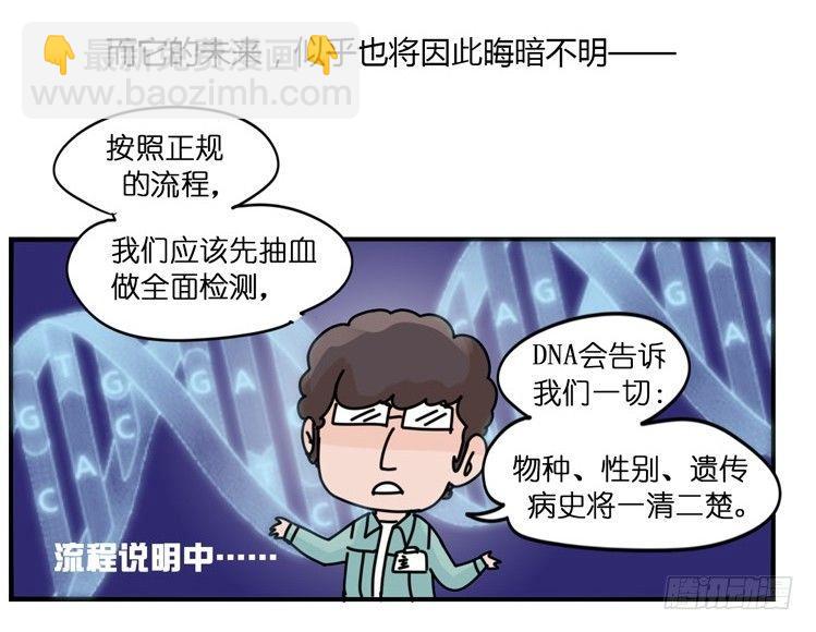 進化之基 - 飛吧小少爺：現實問題 - 1