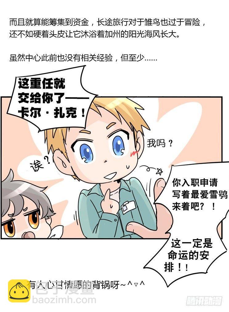 進化之基 - 飛吧小少爺：現實問題 - 4