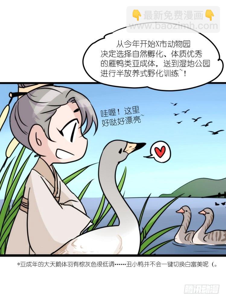 進化之基 - 動協在行動23：搞個大新聞！ - 5