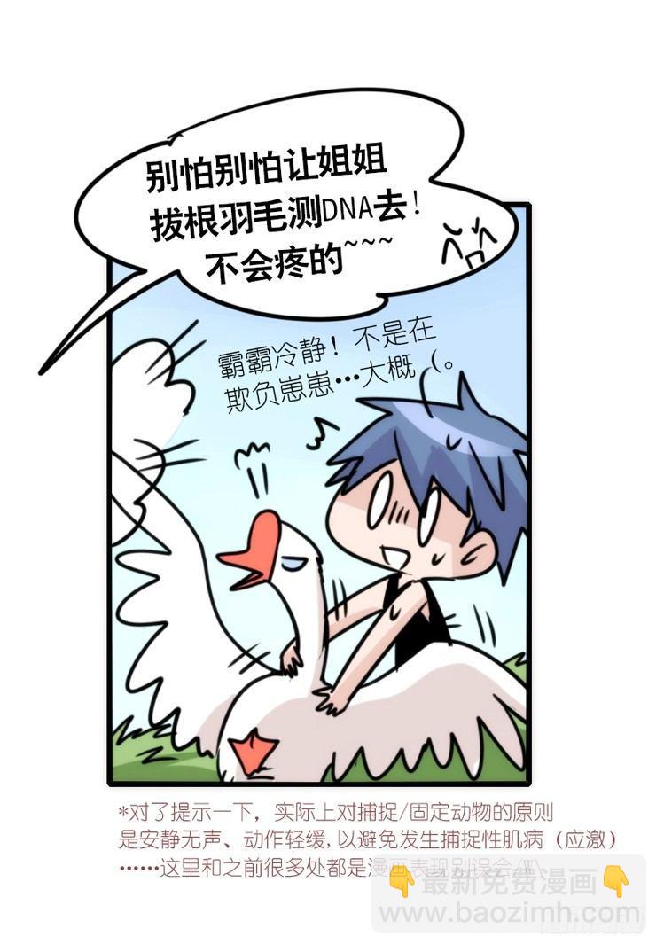 進化之基 - 動協在行動23：搞個大新聞！ - 6