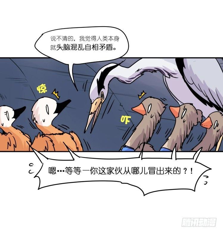 進化之基 - 使命篇05：鳥眼看人奇 - 6