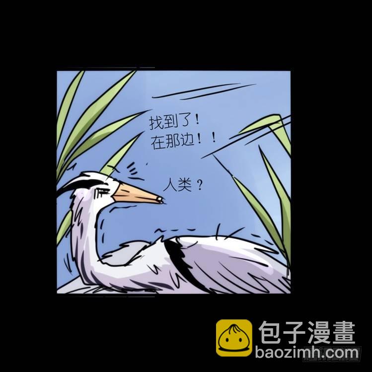 進化之基 - 使命篇05：鳥眼看人奇 - 6