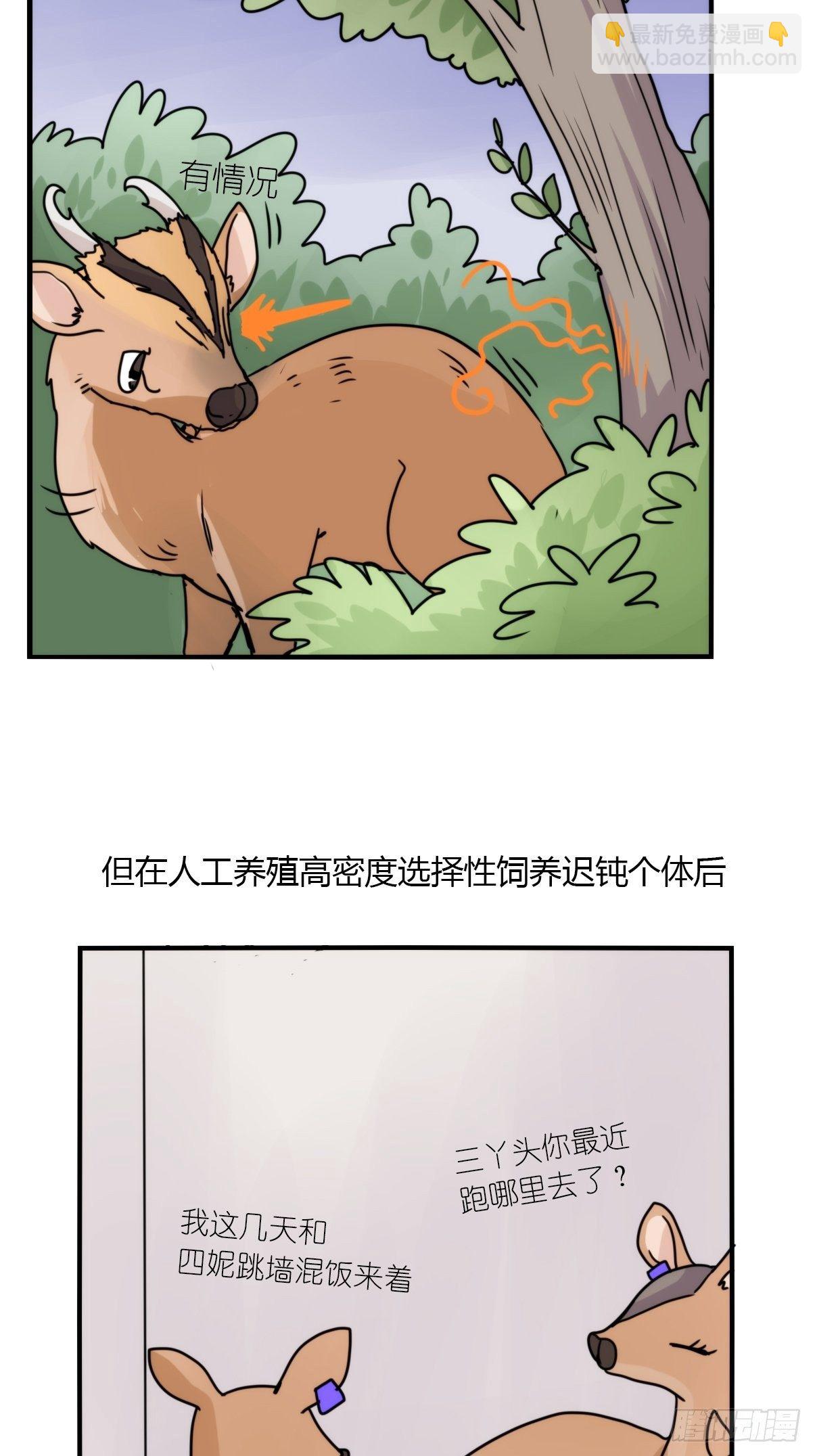 進化之基 - 事業篇II：一堂種羣恢復課03 - 3