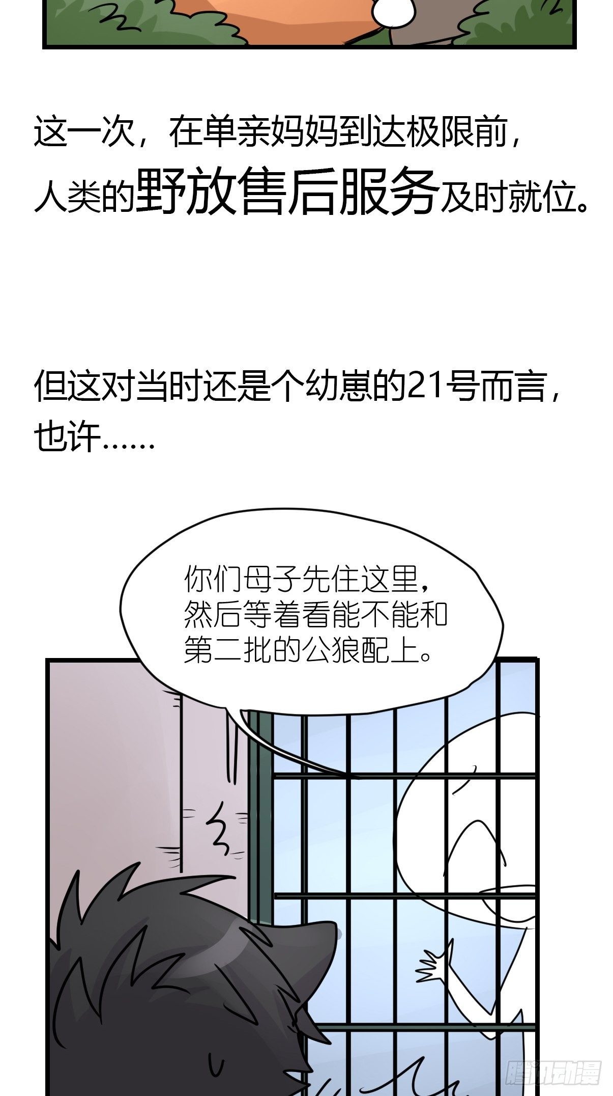 進化之基 - 狼傳奇：生存的哲學 - 7