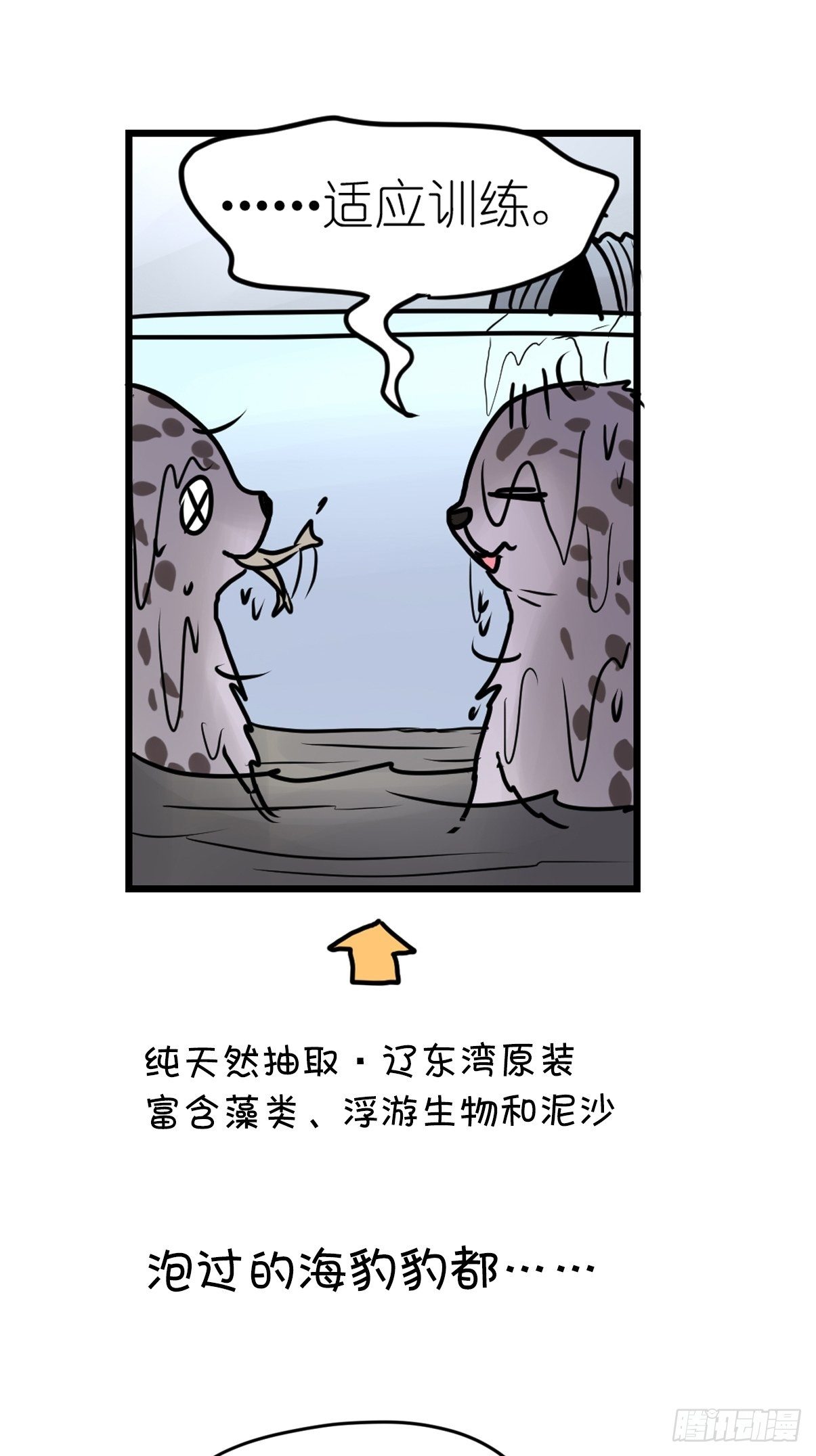 進化之基 - 四海篇10：海豹豹的奇幻漂流3 - 3