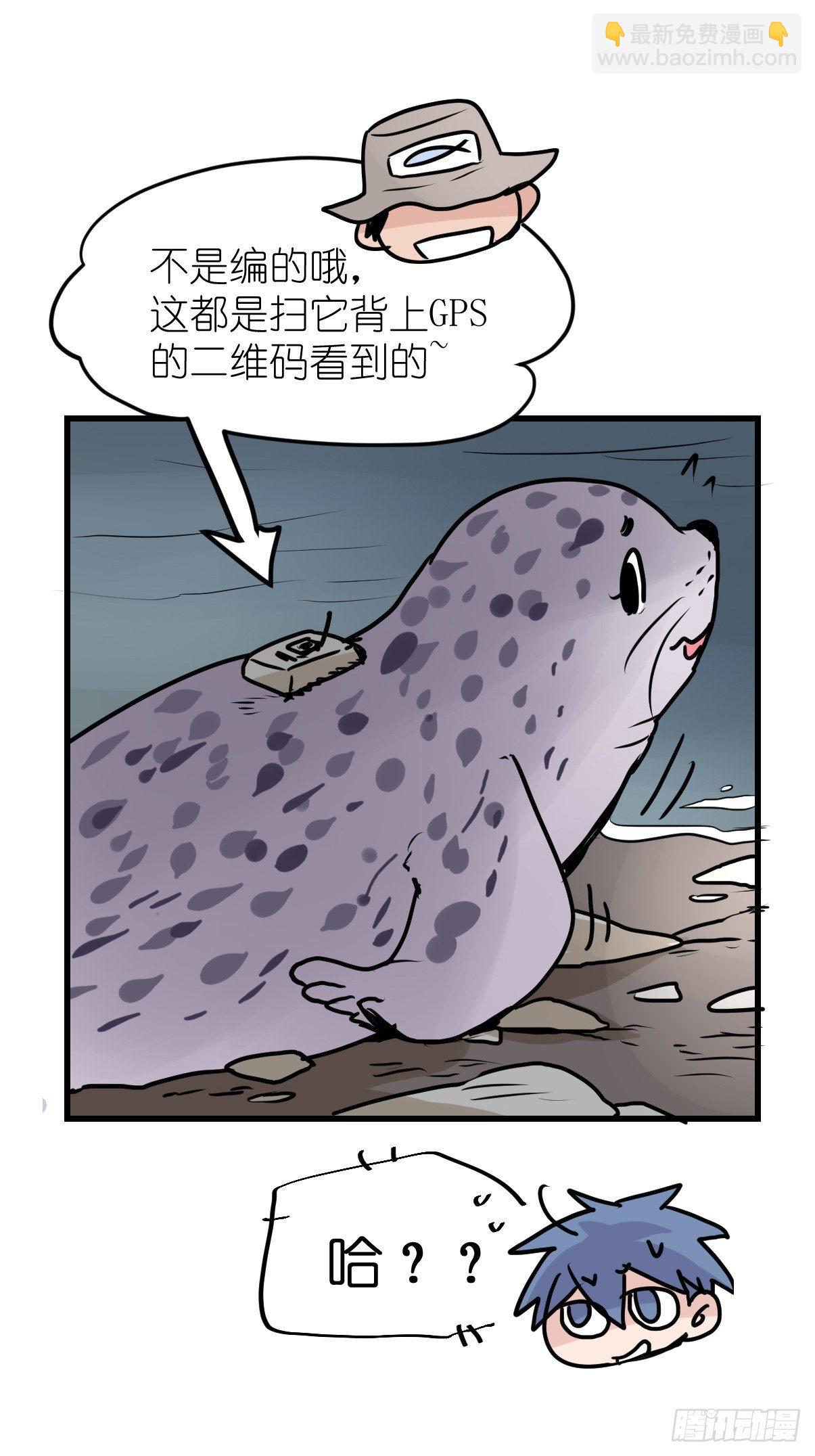 進化之基 - 四海篇10：海豹豹的奇幻漂流3 - 7