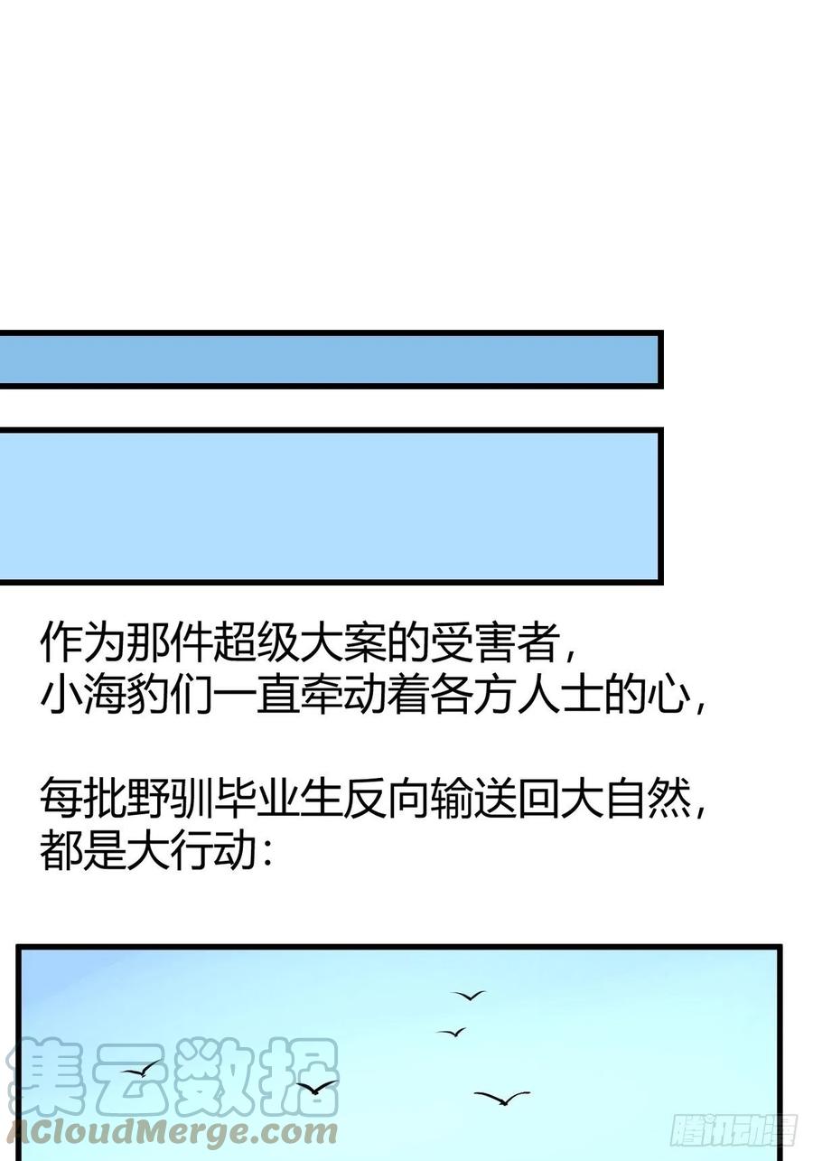 進化之基 - 四海篇16：海豹豹奇幻漂流9 - 6