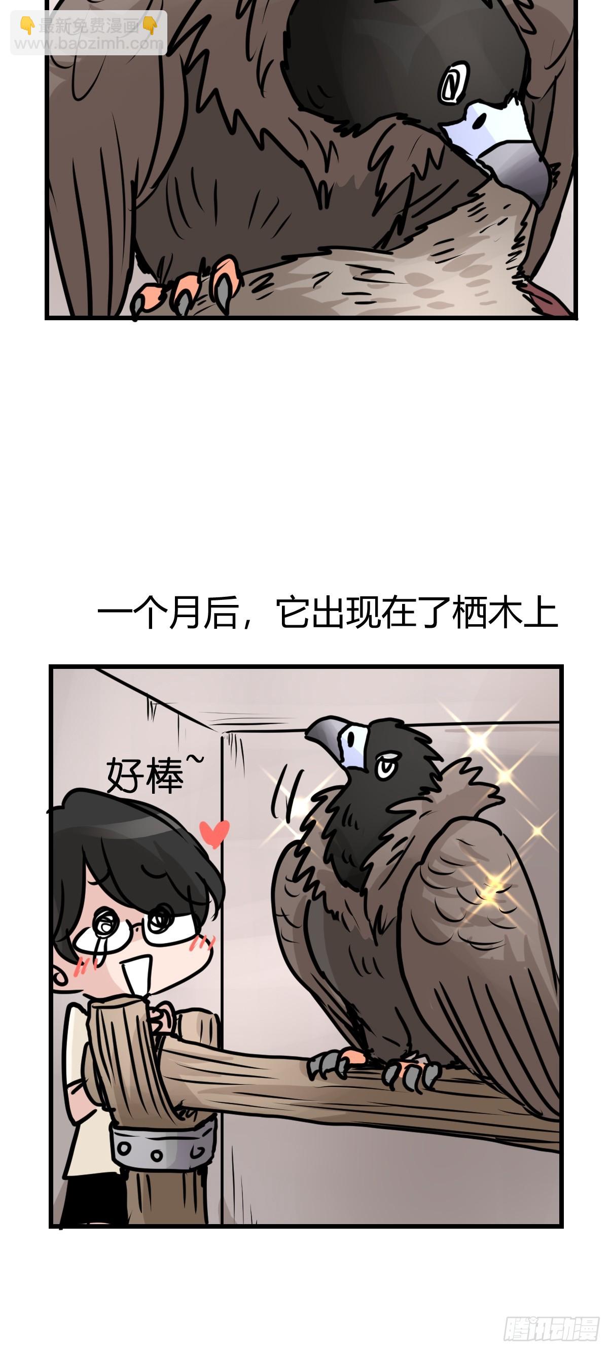 進化之基 - 十日談42：騙吃騙喝的你⑦(1/2) - 6