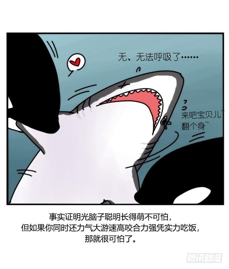 進化之基 - 海洋精靈：大白鯊-反擊戰-上 - 1
