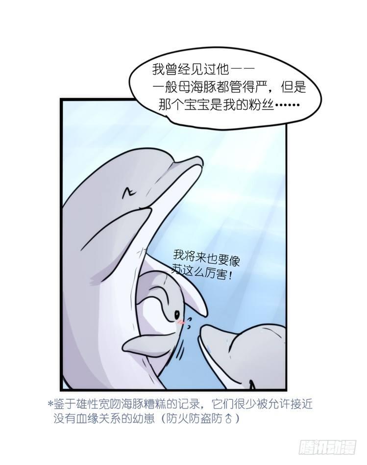 進化之基 - 海洋精靈：大白鯊-反擊戰-上 - 3
