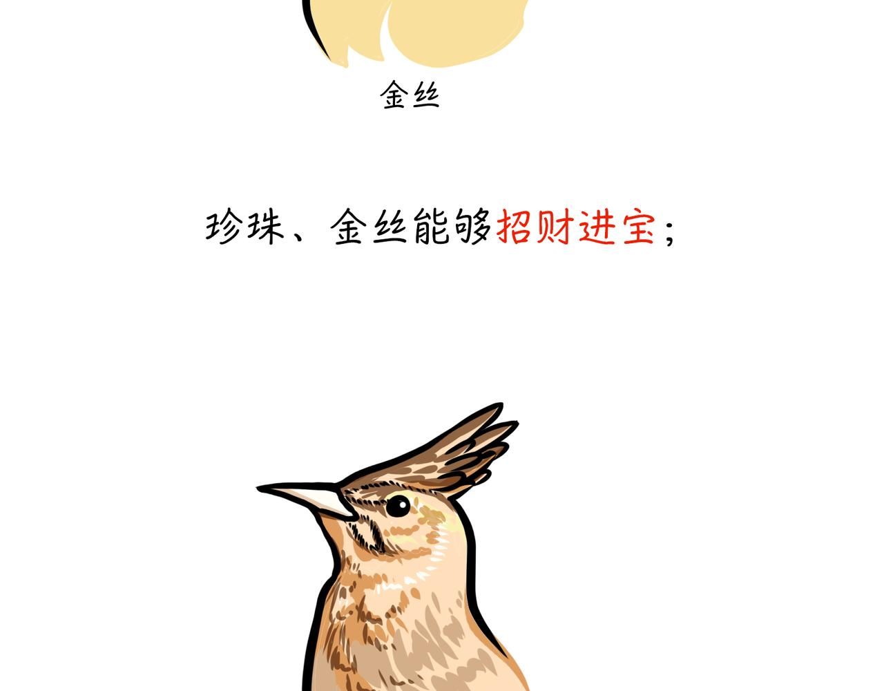 鱼，鸟与风水-第6话