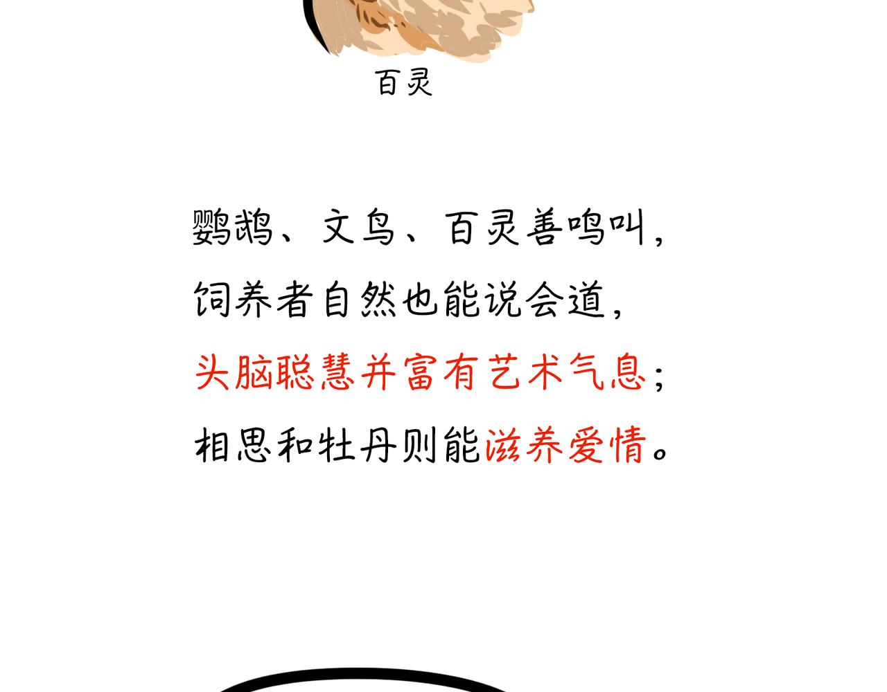 鱼，鸟与风水-第6话