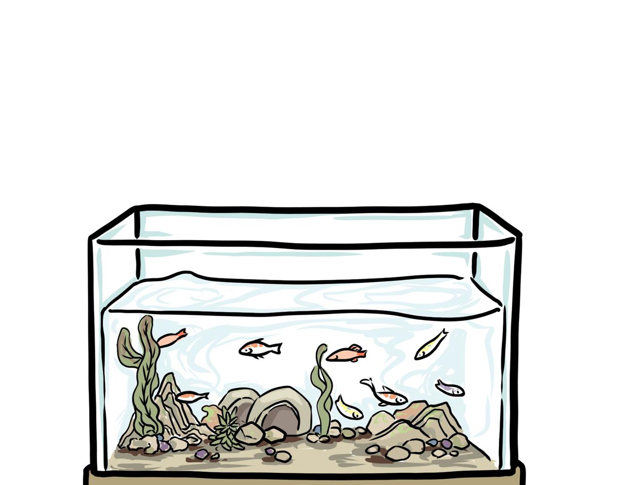 鱼，鸟与风水-第6话