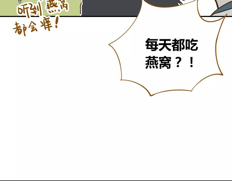 第18-1话 人气之战(1/2)-第32话