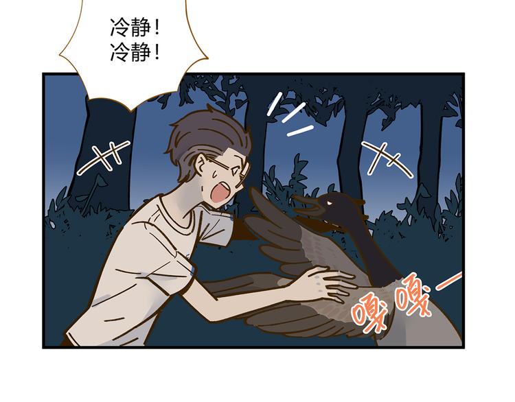 第61话 这次换我保护你(1/3)-第78话