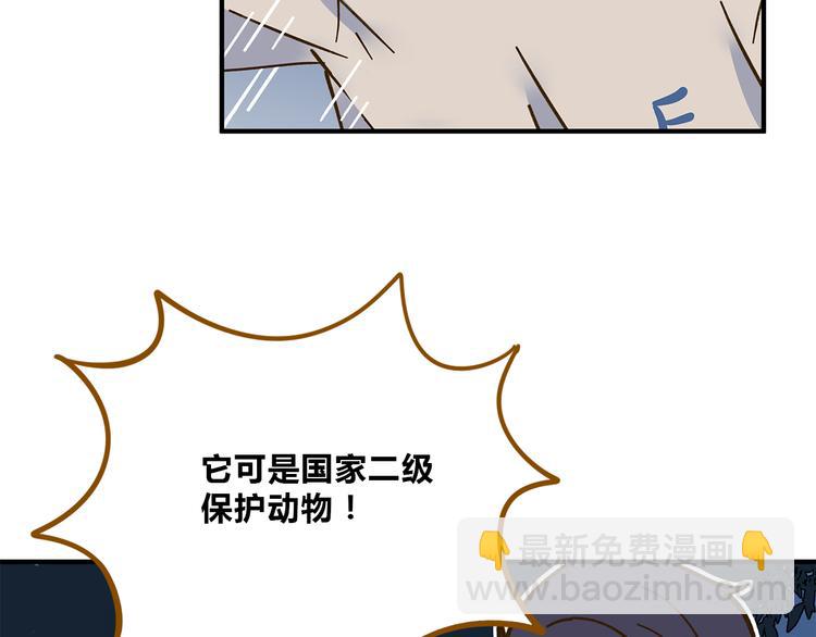 第61话 这次换我保护你(1/3)-第78话