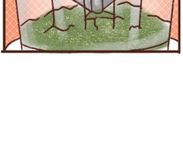 第4话 自制海苔粉-第4话