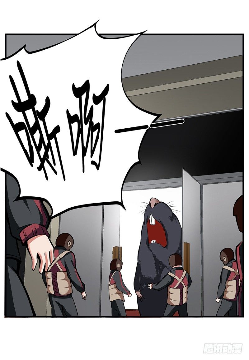 第12话：鼠患当头-第12话