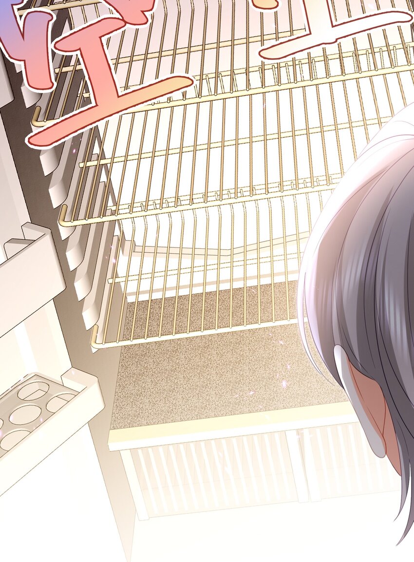 29话 卓总为舒听澜出头-第32话