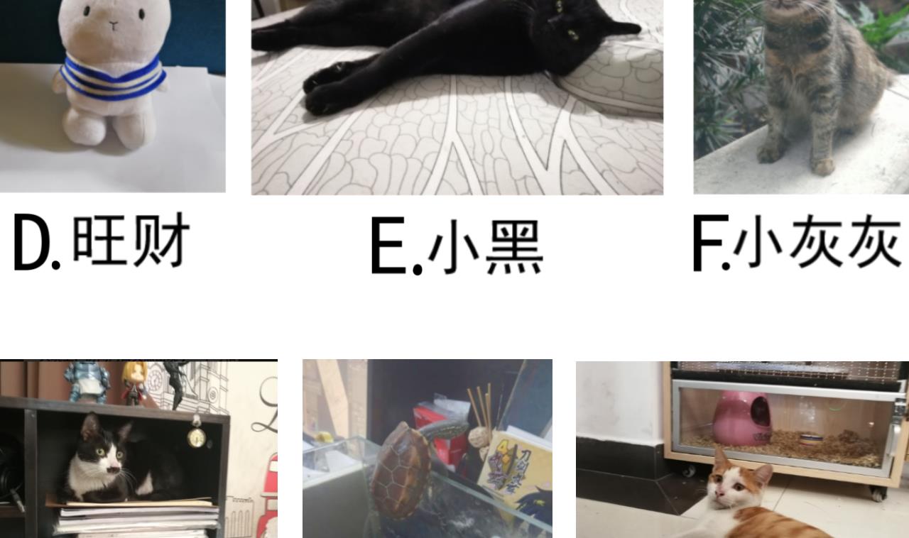 第122话 抢夺盟主令-第122话