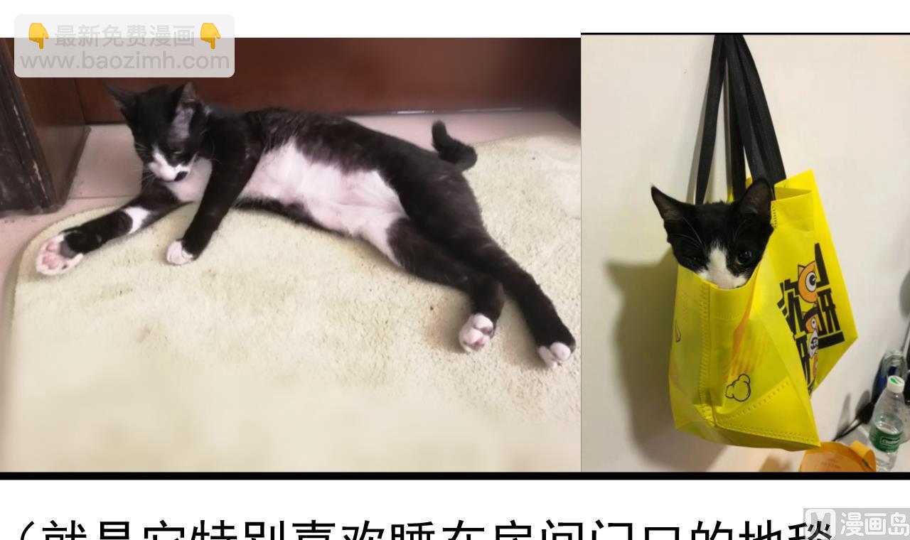 第126话 昏睡的小白(1/2)-第126话