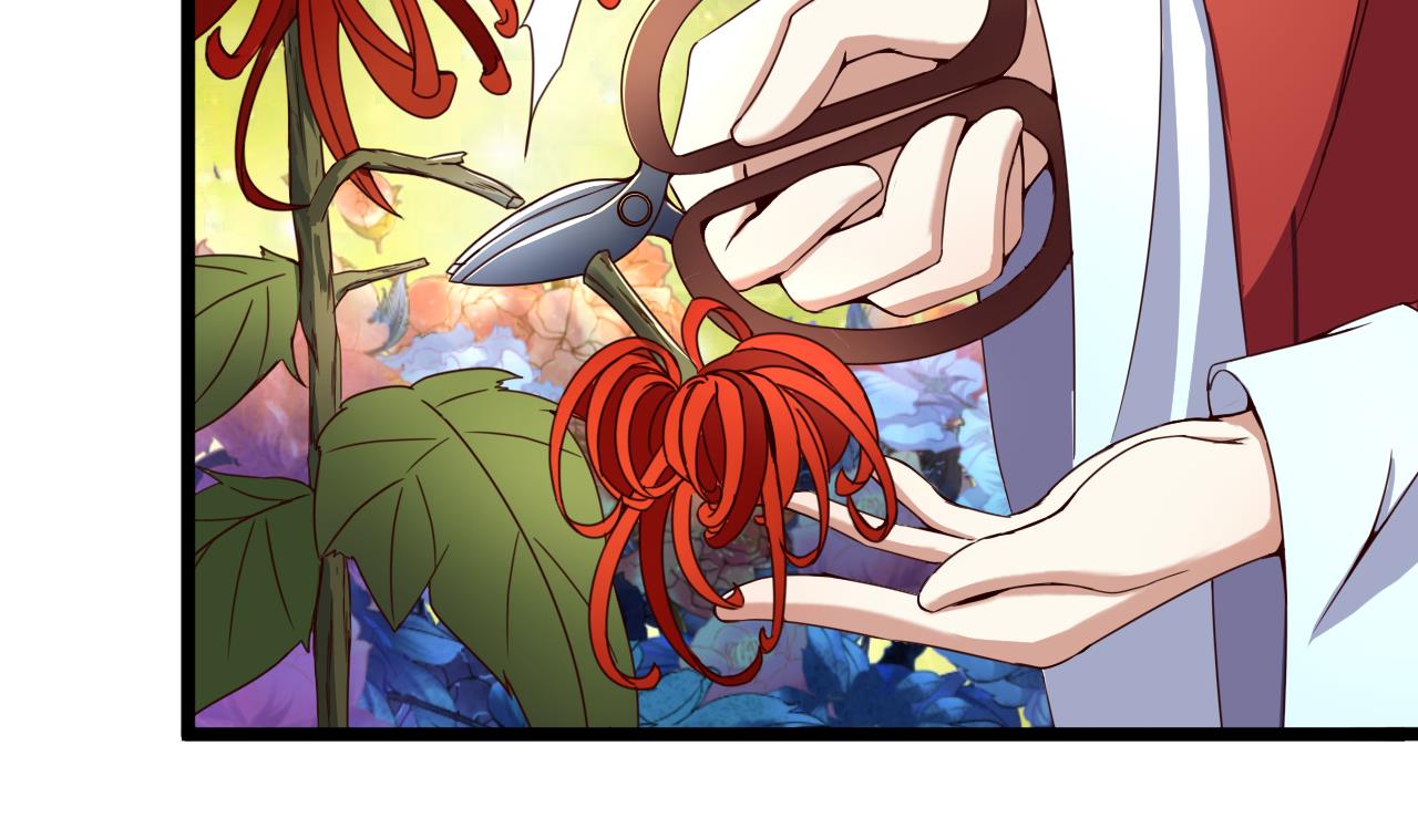 第126话 昏睡的小白(1/2)-第126话