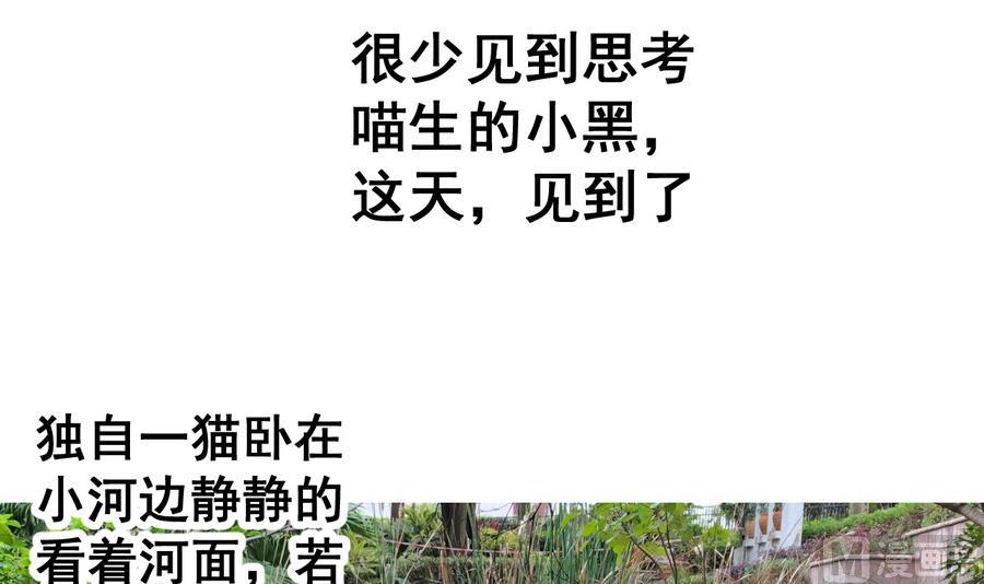 第60话 小羽上任-第60话