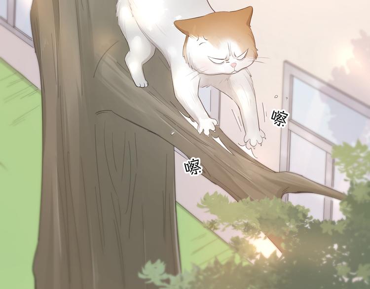 第61话 你会是我的主人吗(1/3)-第64话