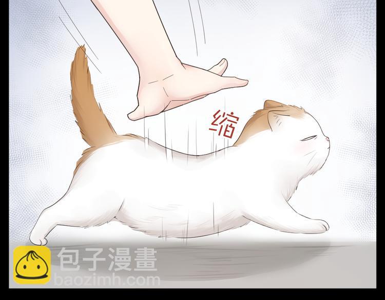 第61话 你会是我的主人吗(1/3)-第64话