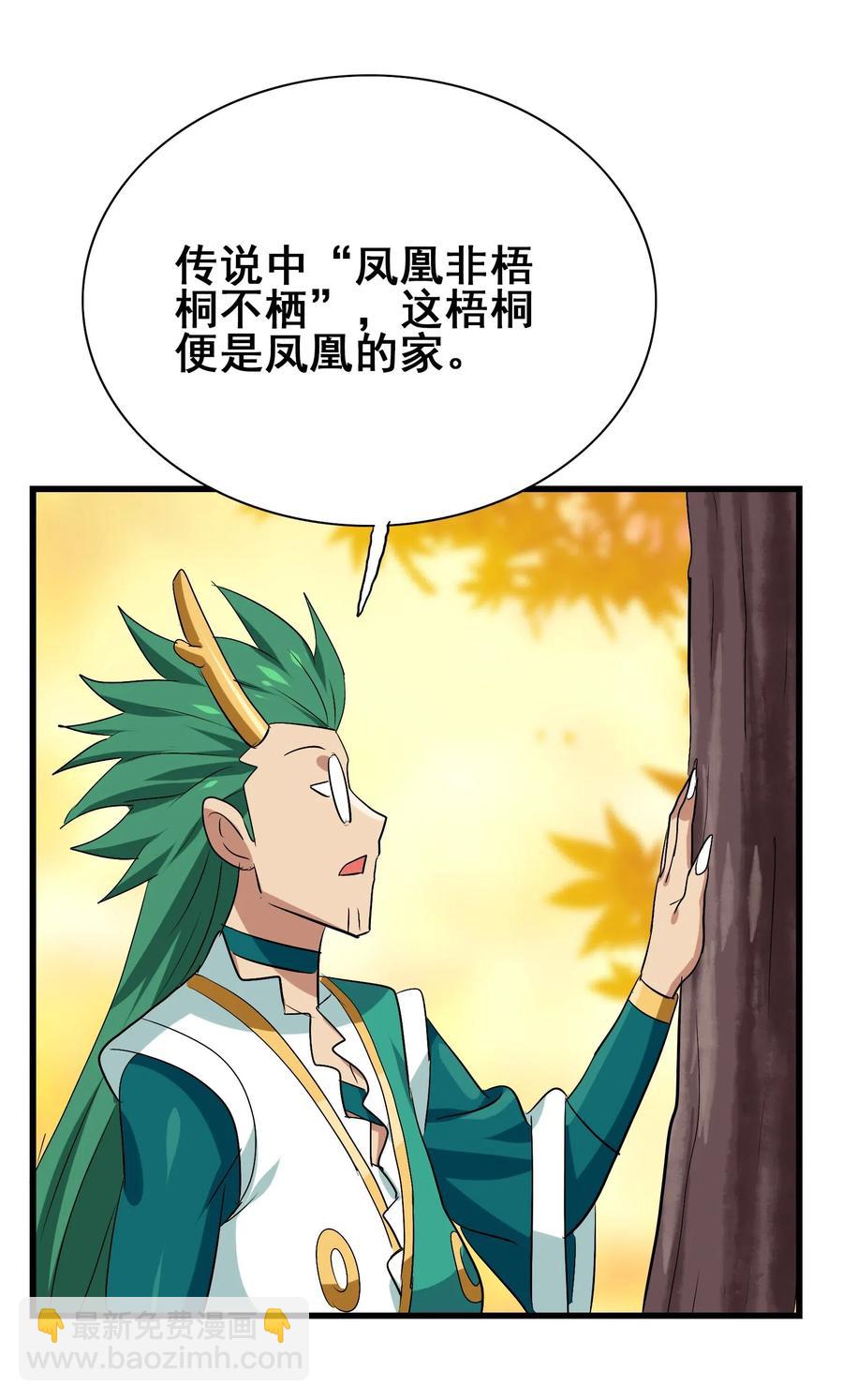 071 凤凰非梧桐不栖(1/2)-第74话