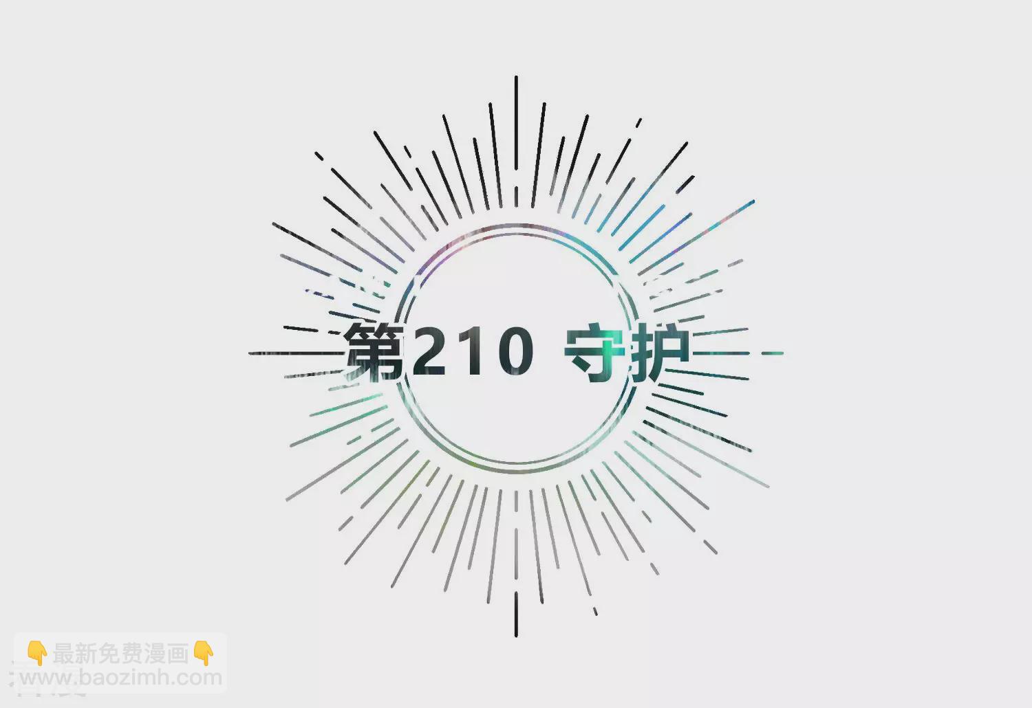 最终话 守护(1/3)-第220话