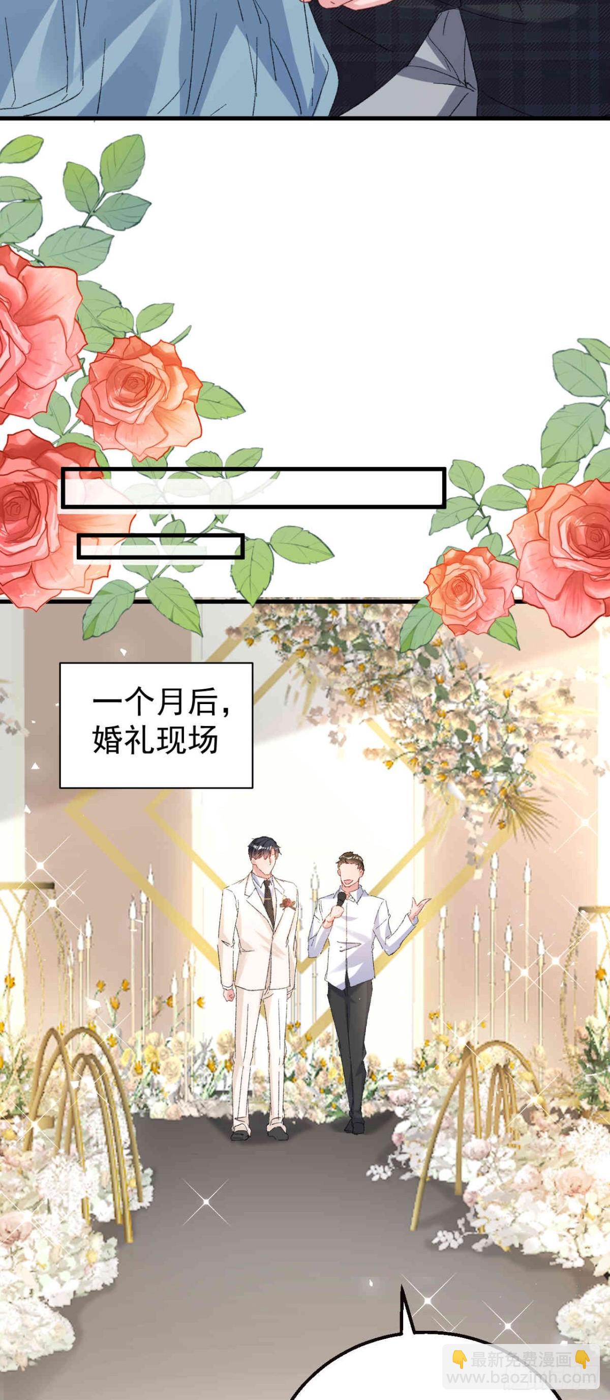 今天拒绝陆先生了吗？ - 第205话 我们的婚礼(1/2) - 1