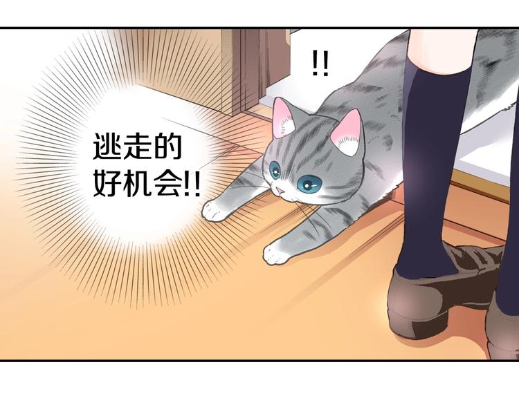 第5话 猫砂盆初体验12