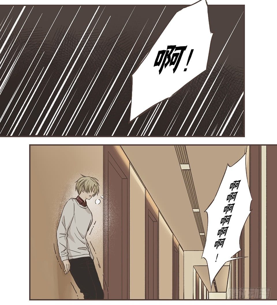 最重要的第三项-第14话