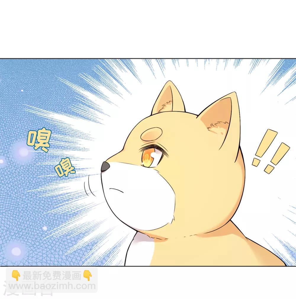 今天也沒變成人 - 第14話 永順染坊(1/2) - 8