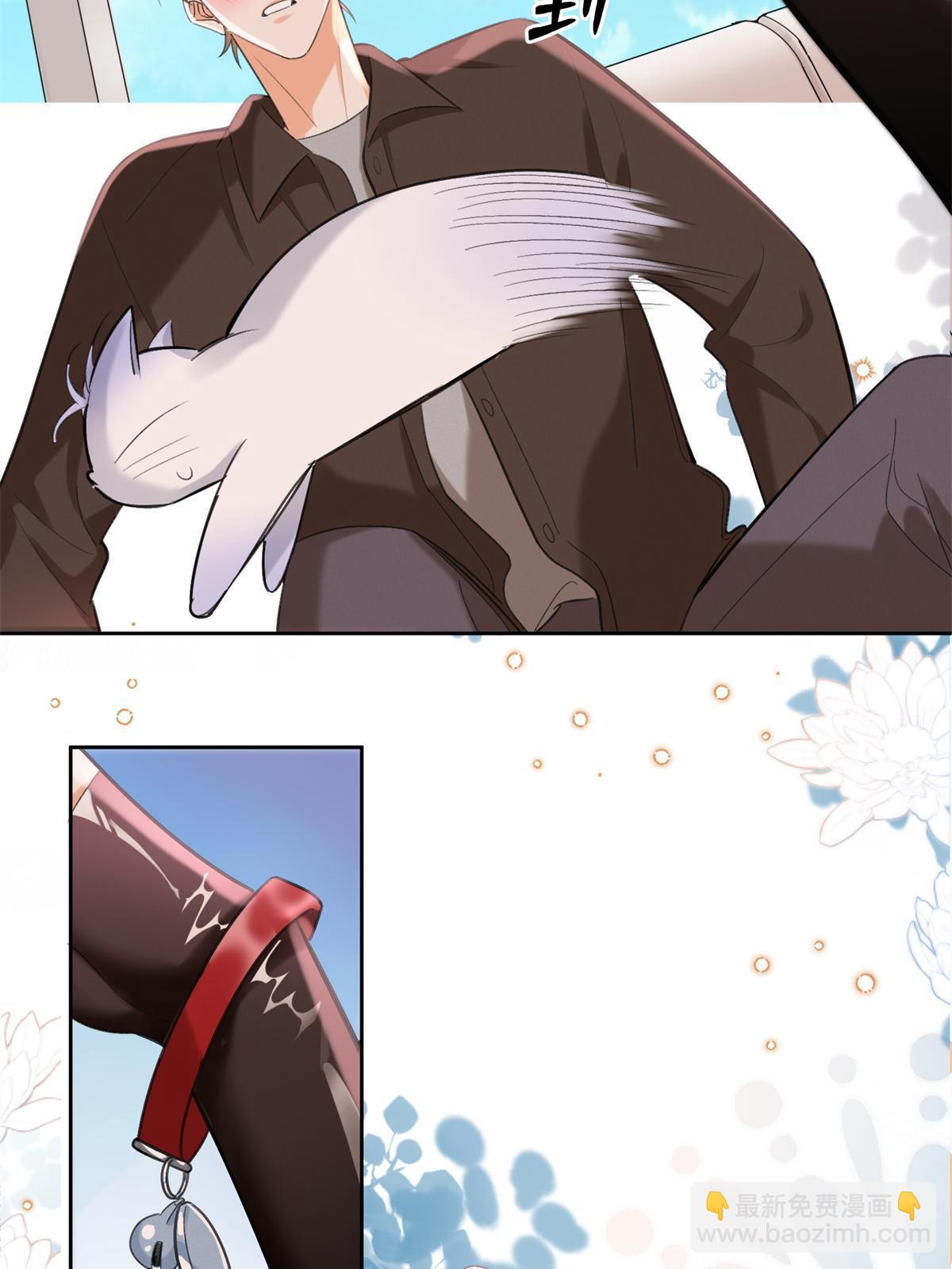 104 猫猫回归！-第104话