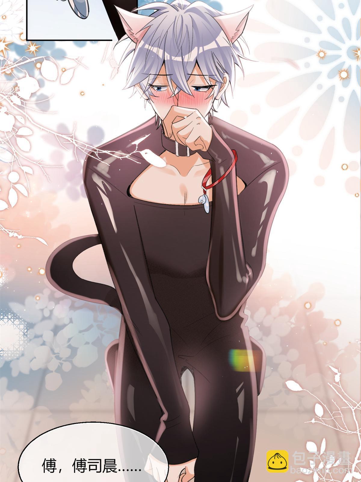 104 猫猫回归！-第104话