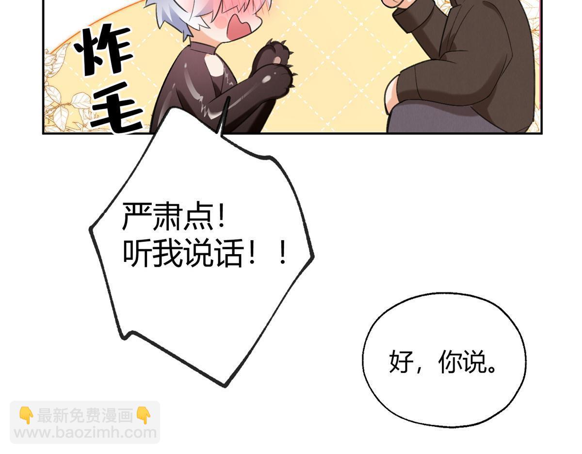 104 猫猫回归！-第104话